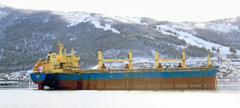 SILVIA GLORY Bulk Carrier IMO 9622942 photo 2