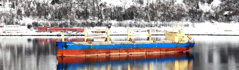 SILVIA GLORY Bulk Carrier IMO 9622942 photo 3