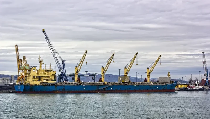 SILVIA GLORY Bulk Carrier IMO 9622942 photo 6