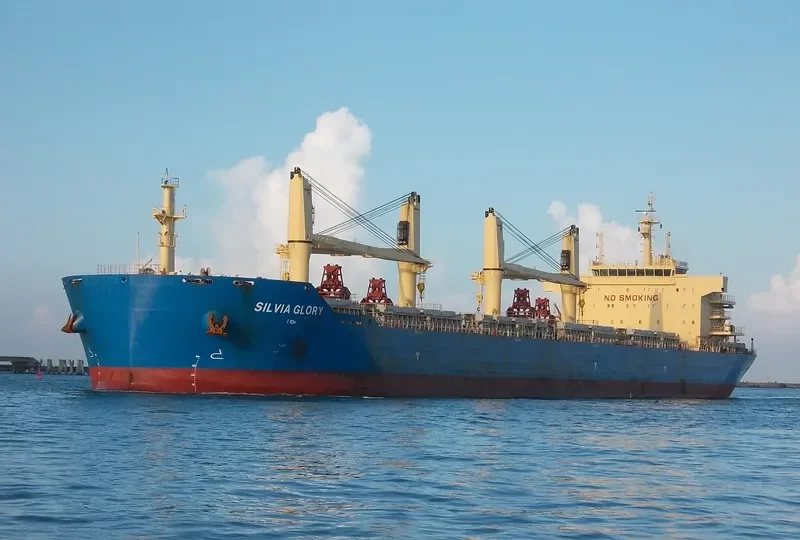 SILVIA GLORY Bulk Carrier IMO 9622942 photo 8