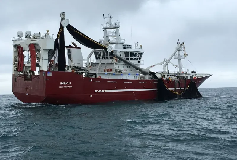 BARDI General Cargo IMO 9622966