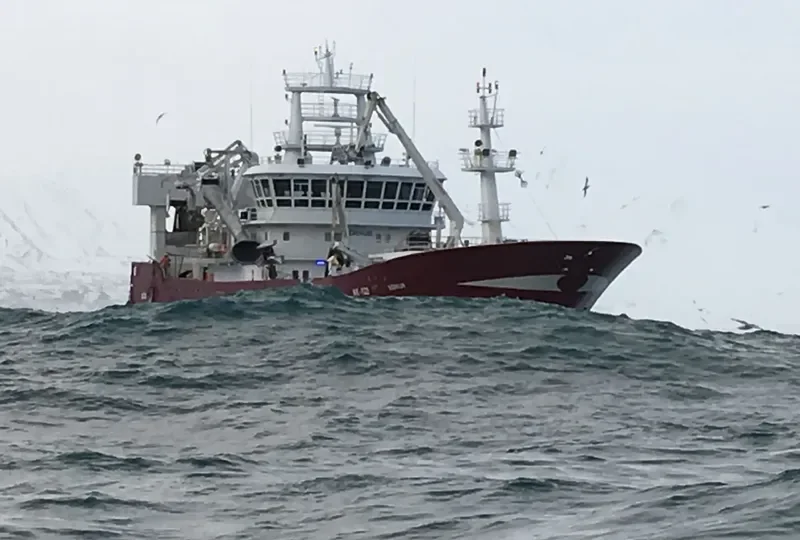 BARDI General Cargo IMO 9622966 photo 2