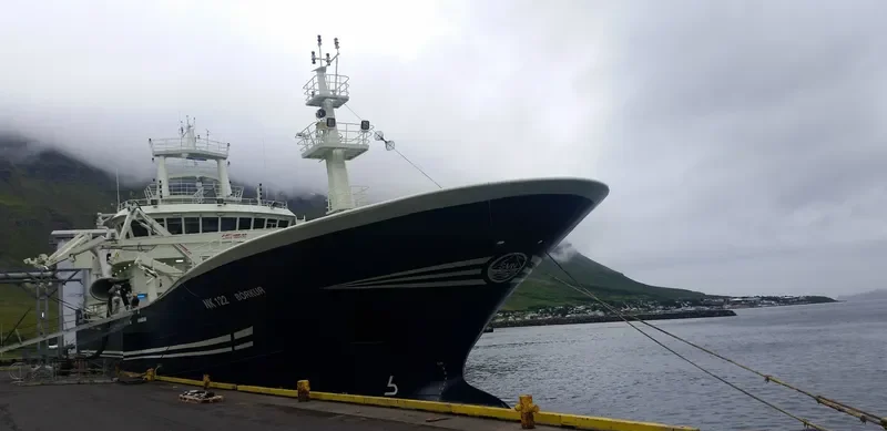 BARDI General Cargo IMO 9622966 photo 4