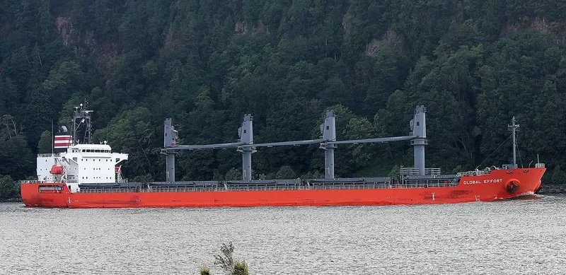 GLOBAL EFFORT Bulk Carrier IMO 9623063 photo 3