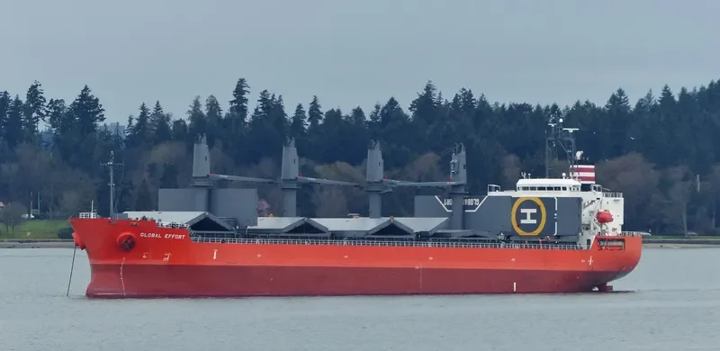 GLOBAL EFFORT Bulk Carrier IMO 9623063 photo 6