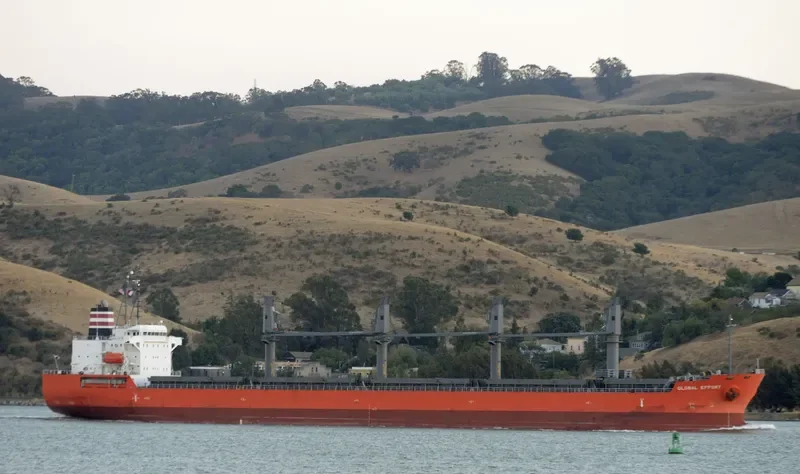 GLOBAL EFFORT Bulk Carrier IMO 9623063 photo 7