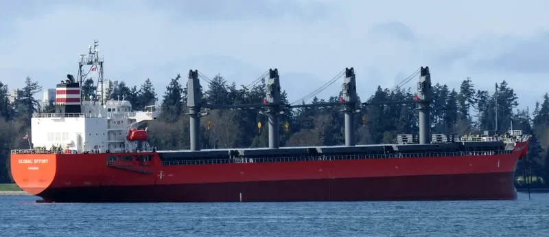 GLOBAL EFFORT Bulk Carrier IMO 9623063 photo 9