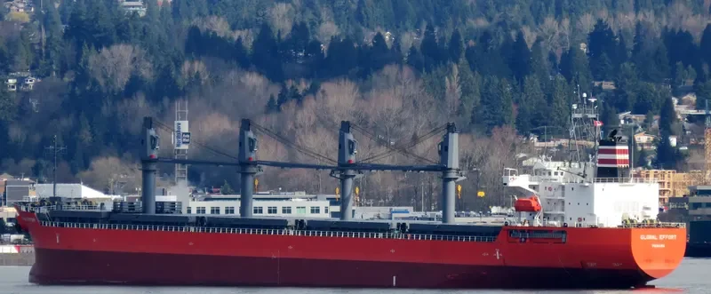 GLOBAL EFFORT Bulk Carrier IMO 9623063 photo 10