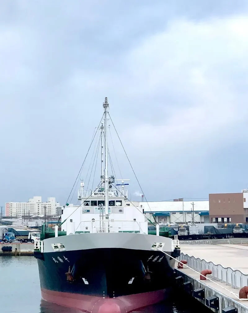 SENSHO MARU General Cargo IMO 9623075 photo 3