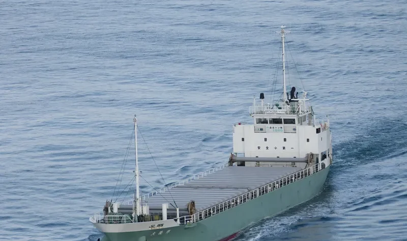 DAIRYUHO General Cargo IMO 9623087 photo 3