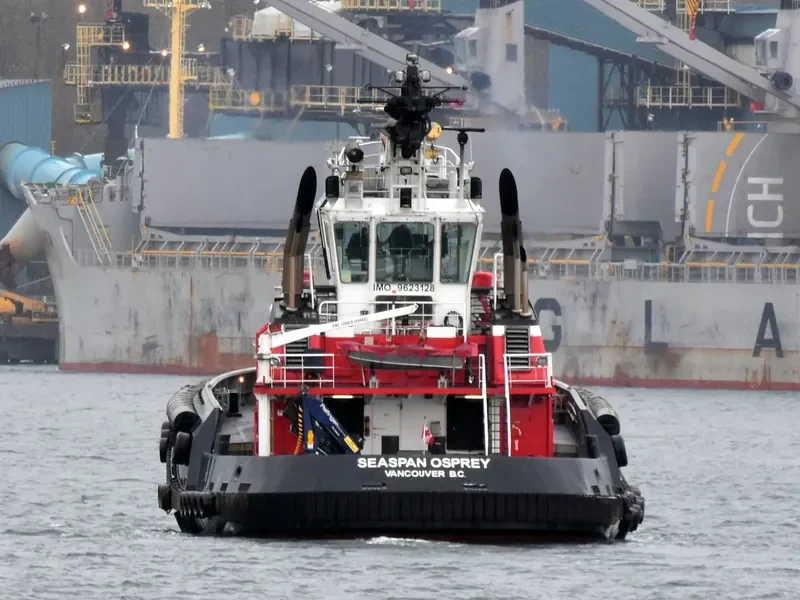 SEASPAN OSPREY General Cargo IMO 9623128 photo 3