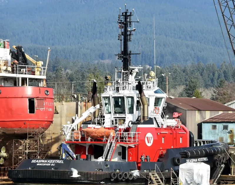 SEASPAN KESTREL General Cargo IMO 9623130 photo 2