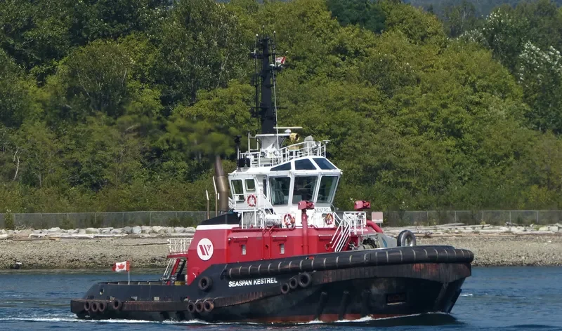 SEASPAN KESTREL General Cargo IMO 9623130 photo 3