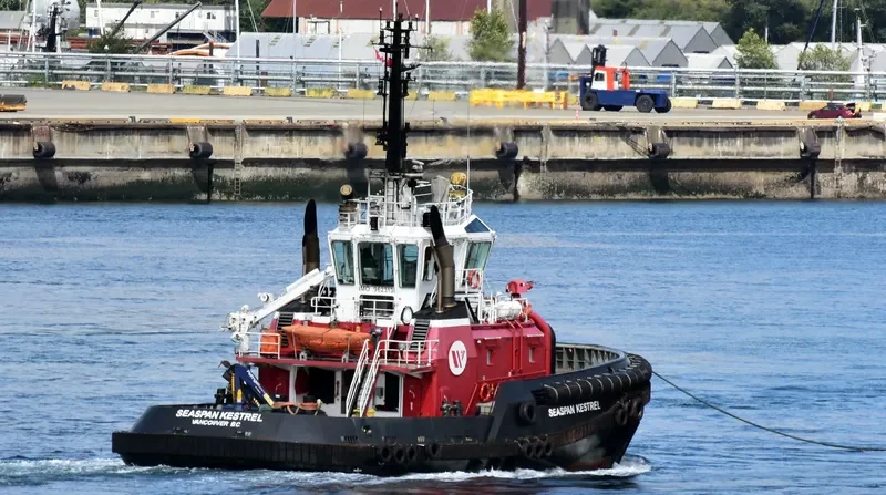 SEASPAN KESTREL General Cargo IMO 9623130 photo 6