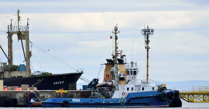 BEAGLE General Cargo IMO 9623154