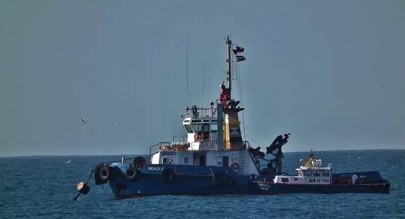 BEAGLE General Cargo IMO 9623154 photo 3