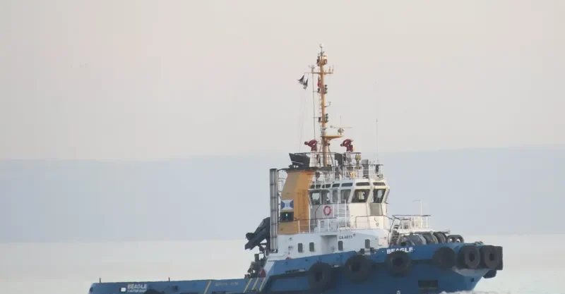 BEAGLE General Cargo IMO 9623154 photo 5