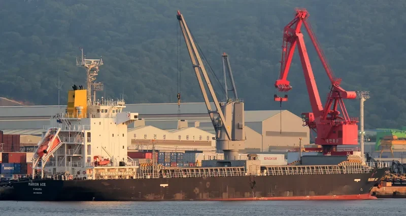 MARION ACE General Cargo IMO 9623192 photo 5