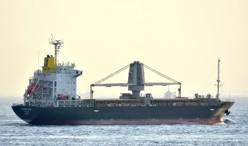MARION ACE General Cargo IMO 9623192 photo 8