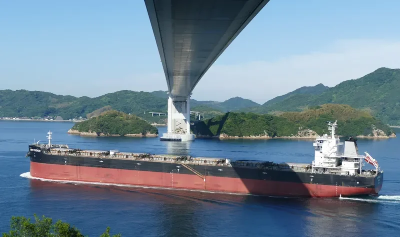 SWIFT SUZHOU Bulk Carrier IMO 9623556 photo 3