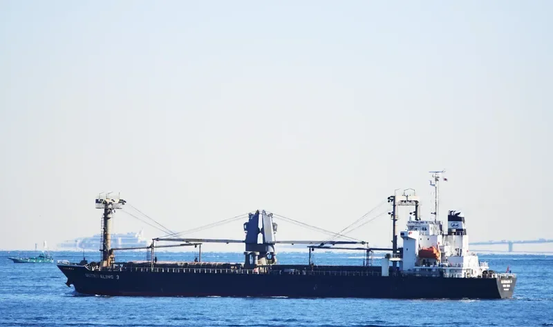 OUTRIVALING 3 General Cargo IMO 9623623 photo 5