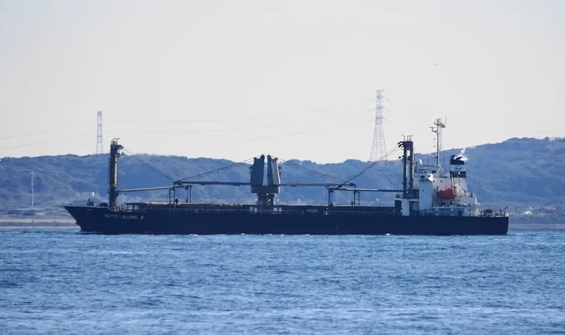 OUTRIVALING 3 General Cargo IMO 9623623 photo 6