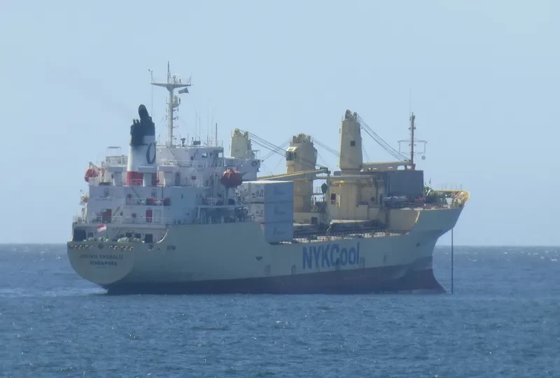 DARLEAKAY Bulk Carrier IMO 9623647