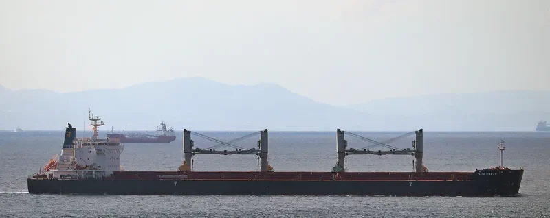 DARLEAKAY Bulk Carrier IMO 9623647 photo 2