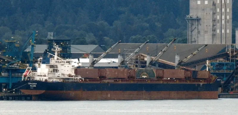 DARLEAKAY Bulk Carrier IMO 9623647 photo 7