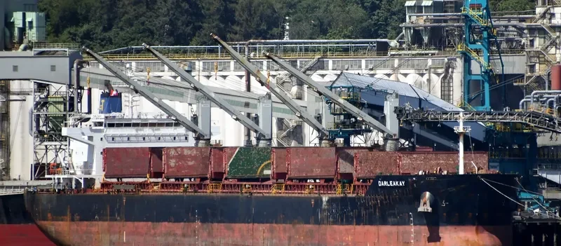 DARLEAKAY Bulk Carrier IMO 9623647 photo 8