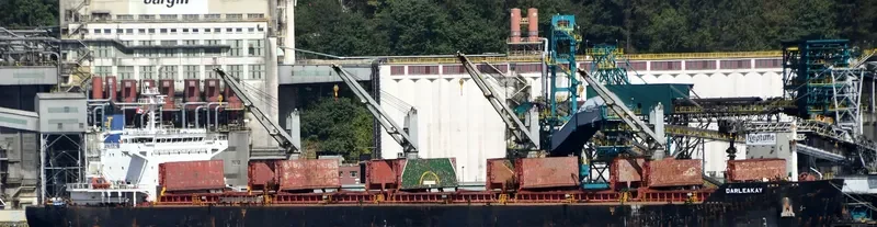 DARLEAKAY Bulk Carrier IMO 9623647 photo 9