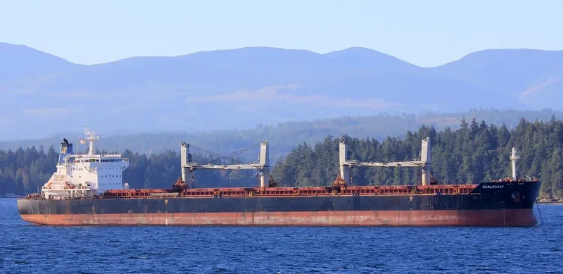 DARLEAKAY Bulk Carrier IMO 9623647 photo 10