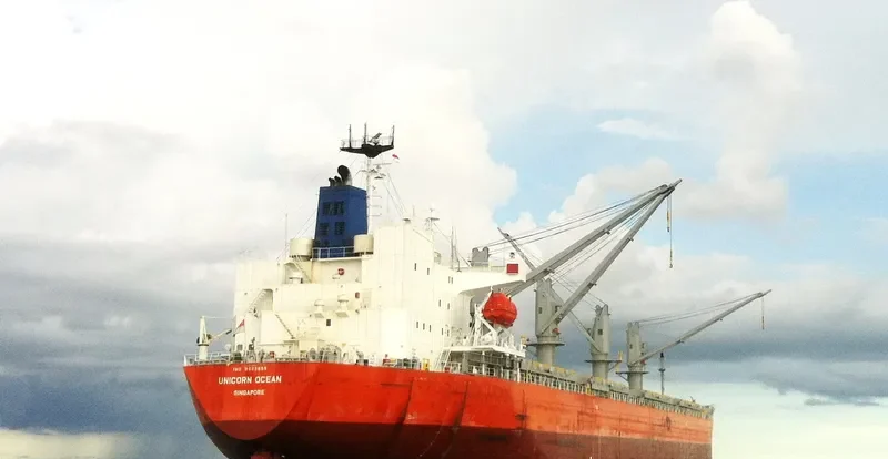 AMSTEL CONFIDENCE Bulk Carrier IMO 9623659