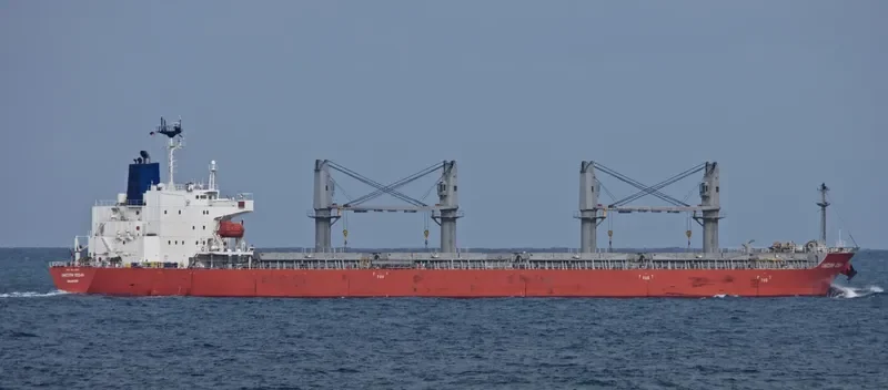 AMSTEL CONFIDENCE Bulk Carrier IMO 9623659 photo 3