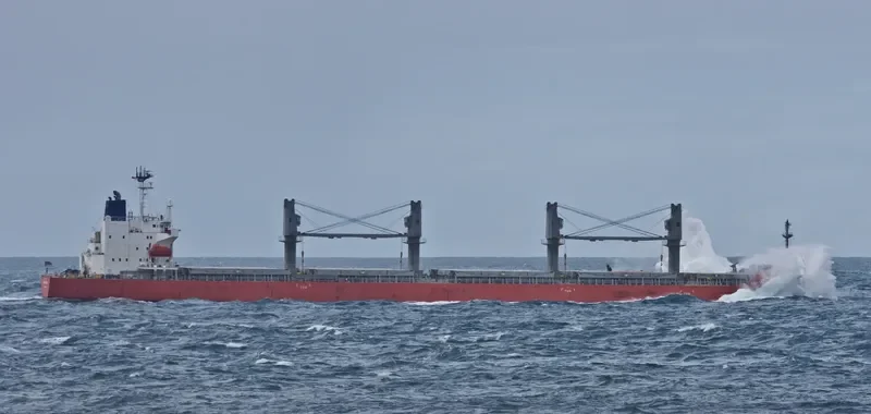 AMSTEL CONFIDENCE Bulk Carrier IMO 9623659 photo 4