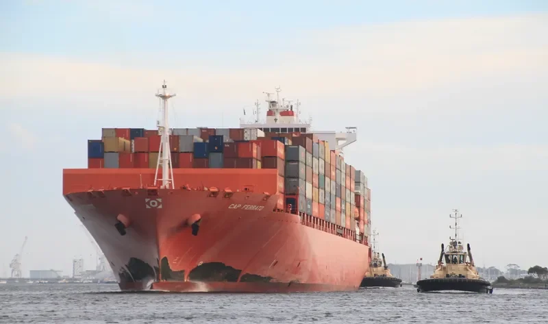 RDO FORTUNE Container Ship IMO 9623673