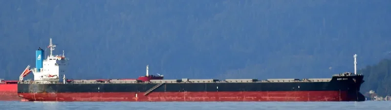 AOM GAIA Bulk Carrier IMO 9623702