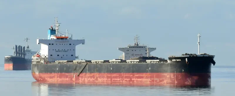 AOM GAIA Bulk Carrier IMO 9623702 photo 2