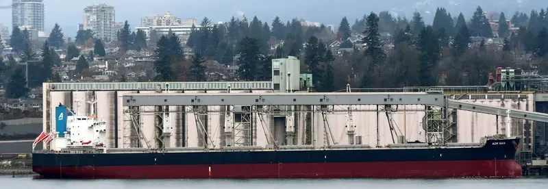 AOM GAIA Bulk Carrier IMO 9623702 photo 4