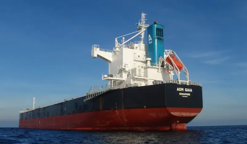 AOM GAIA Bulk Carrier IMO 9623702 photo 6