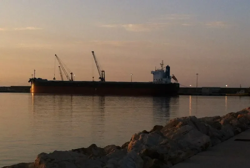 AOM GAIA Bulk Carrier IMO 9623702 photo 7