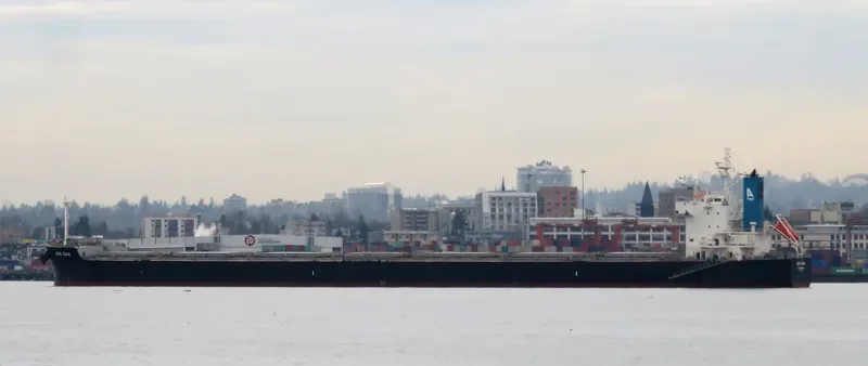 AOM GAIA Bulk Carrier IMO 9623702 photo 8