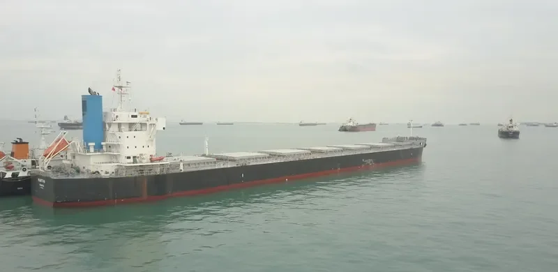MARTHA Bulk Carrier IMO 9623726 photo 3