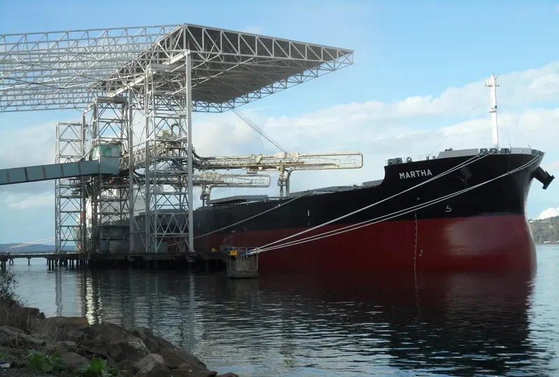MARTHA Bulk Carrier IMO 9623726 photo 8