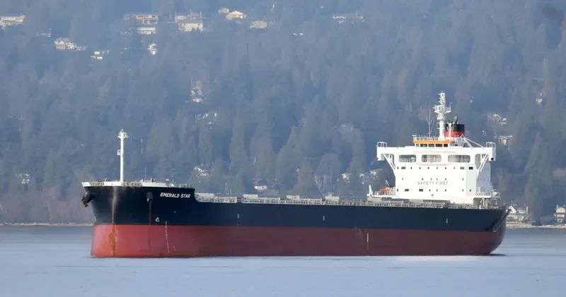 EOLOS G Bulk Carrier IMO 9623738 photo 8