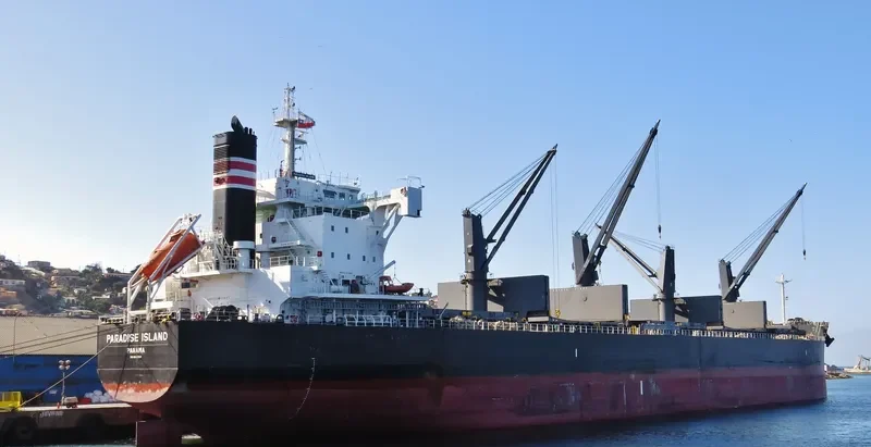 PARADISE ISLAND Bulk Carrier IMO 9623764