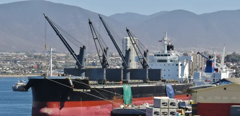 PARADISE ISLAND Bulk Carrier IMO 9623764 photo 2