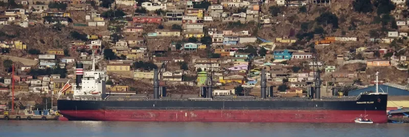 PARADISE ISLAND Bulk Carrier IMO 9623764 photo 3