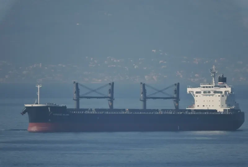 PARADISE ISLAND Bulk Carrier IMO 9623764 photo 4