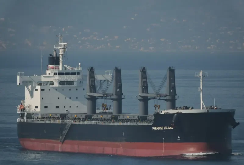 PARADISE ISLAND Bulk Carrier IMO 9623764 photo 5